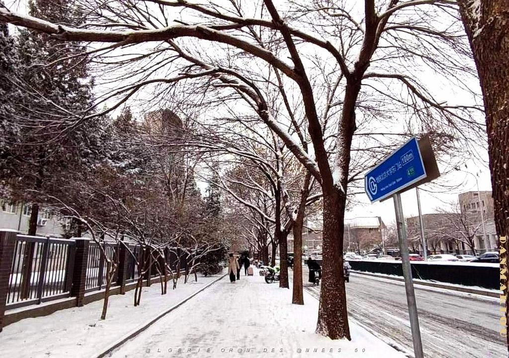 2023 12 PEKIN- UNIVERSITE LANGUES ETRANGERES SOUS LA NEIGE (5).jpg
